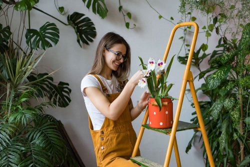 How to go about designing a perfect indoor garden